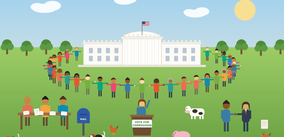 Illustration of people holding hands in a circle around the White House, with groups writing letters, a candidate running for office, and a person meeting a lawmaker, surrounded by a cow, a pig, hens, and beagles.