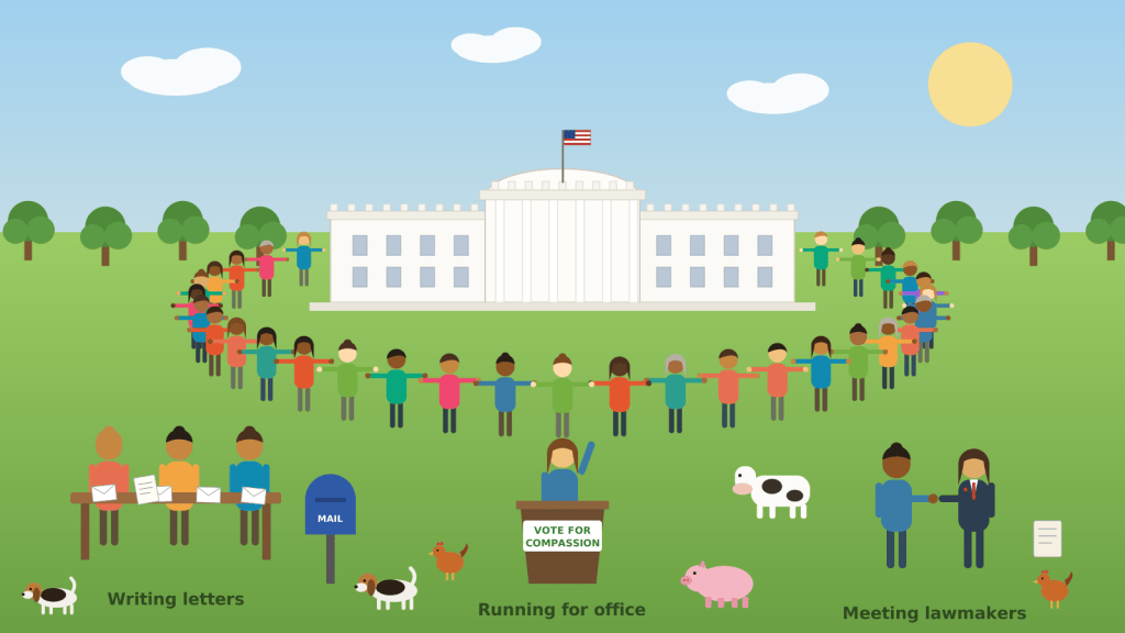 Illustration of people holding hands in a circle around the White House, with groups writing letters, a candidate running for office, and a person meeting a lawmaker, surrounded by a cow, a pig, hens, and beagles.